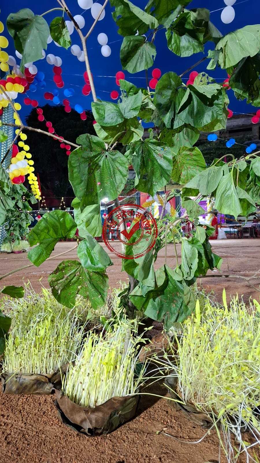 सिमडेगा के सलडेगा सरस्वती शिशु विद्या मंदिर में मनेगा भव्य करम महोत्सव पारंपरिक श्रद्धा और उल्लास के साथ जुटेंगे हजारों श्रद्धालु